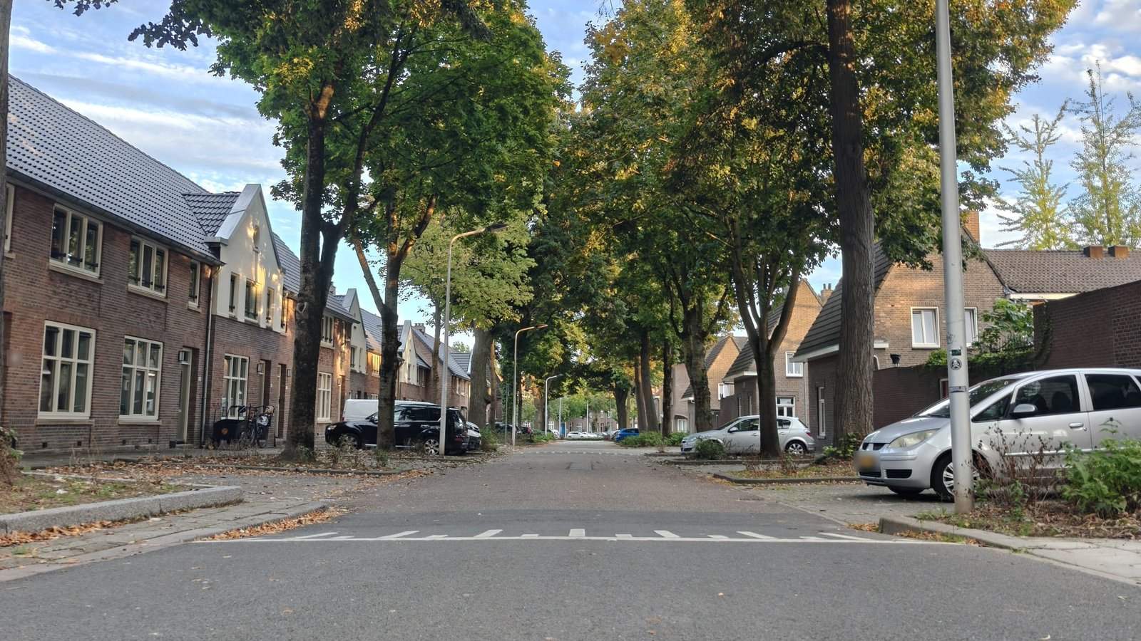 Woonstraat met bomen en geparkeerde auto's in de avondzon, gezien vanaf het wegdek